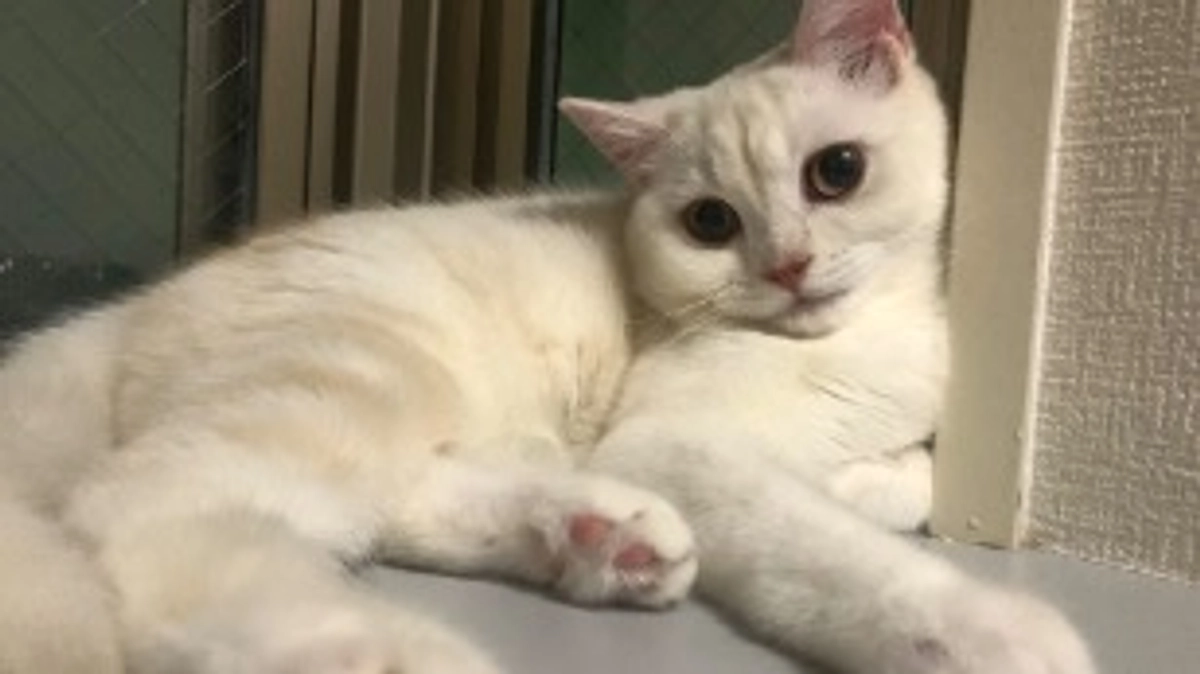 数値が悪化してしまいました😿