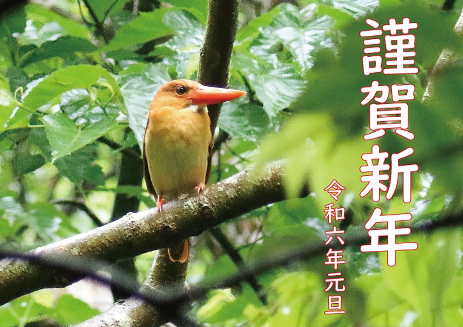 謹賀新年のご挨拶