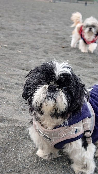 新年明けましておめでとうございます。