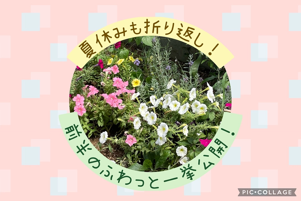 夏休みも折り返し、前半のふわっと一挙公開