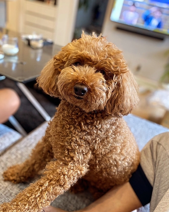 最終日となりました。