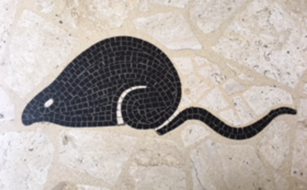 【ねずみ応援チーム】