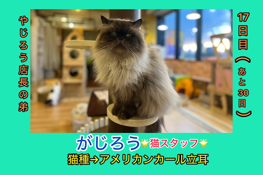 サプリメントは大事みたいです。其の一（3/1 17日目）