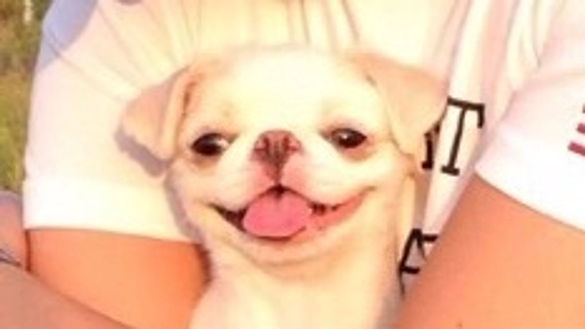 残り35日🐶‼️