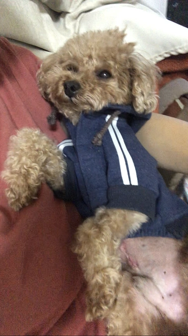 1週間ぶりの抱っこ❣️