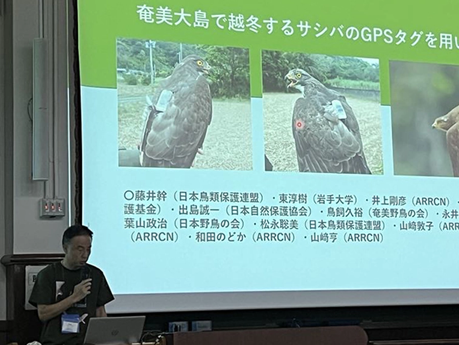 【プロジェクトメンバーからのメッセージ】藤井　幹