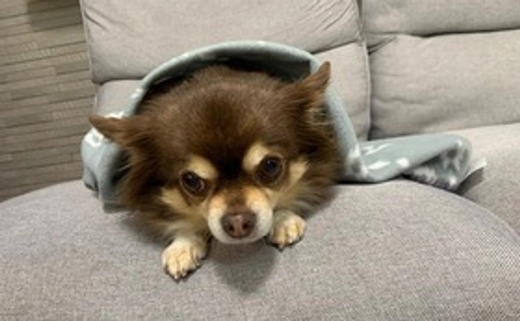 感謝のメッセージ②