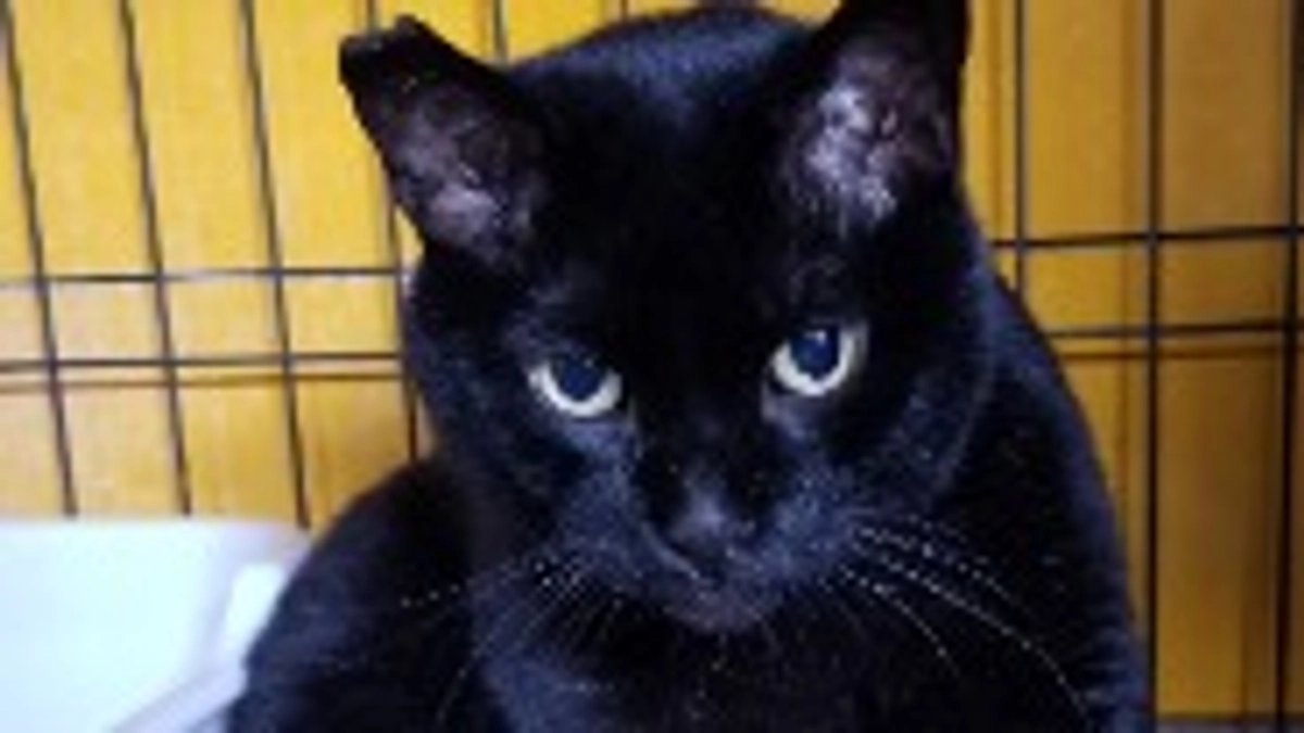 昨日音に会いに行ってきました。