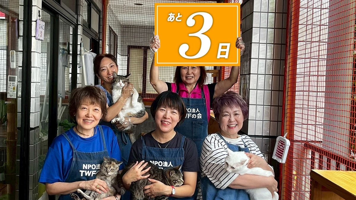 残り3日！「人と動物が共に生きる、その日々のために」