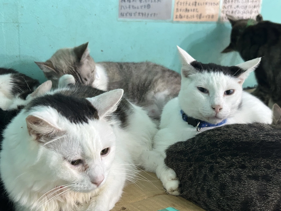 改装日程が決まりました！