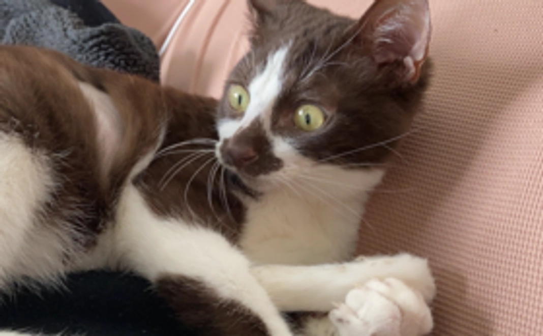 くじら1000円支援プラン