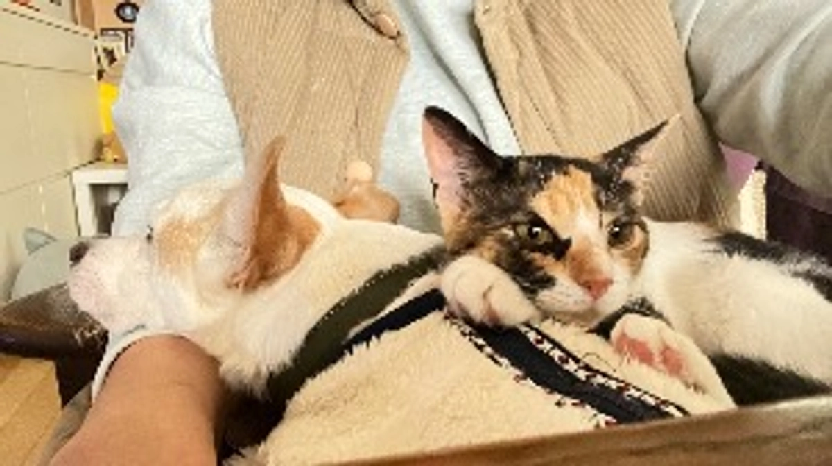 目標達成致しました！