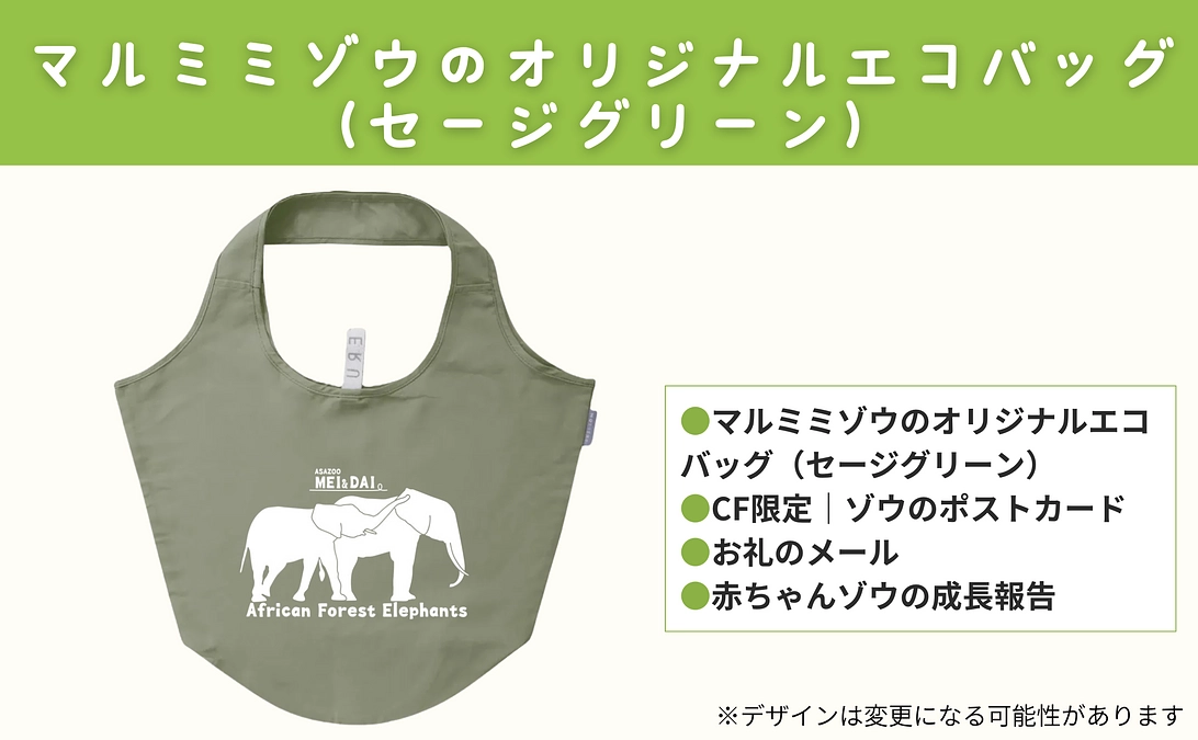 【新リターン追加のご紹介】マルミミゾウのオリジナルエコバッグ（セージグリーン）
