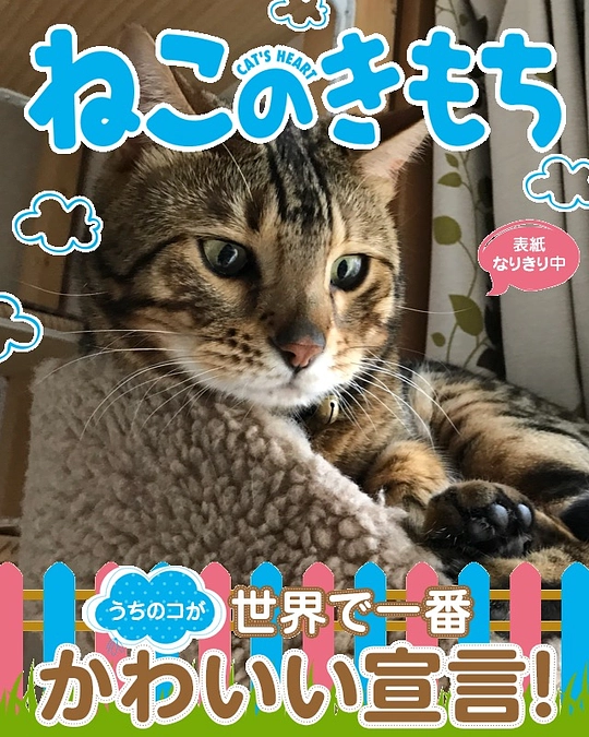 クラファン残り3日となりました💦