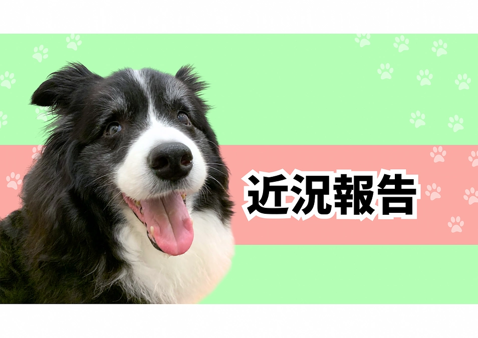 抗がん剤治療33回目