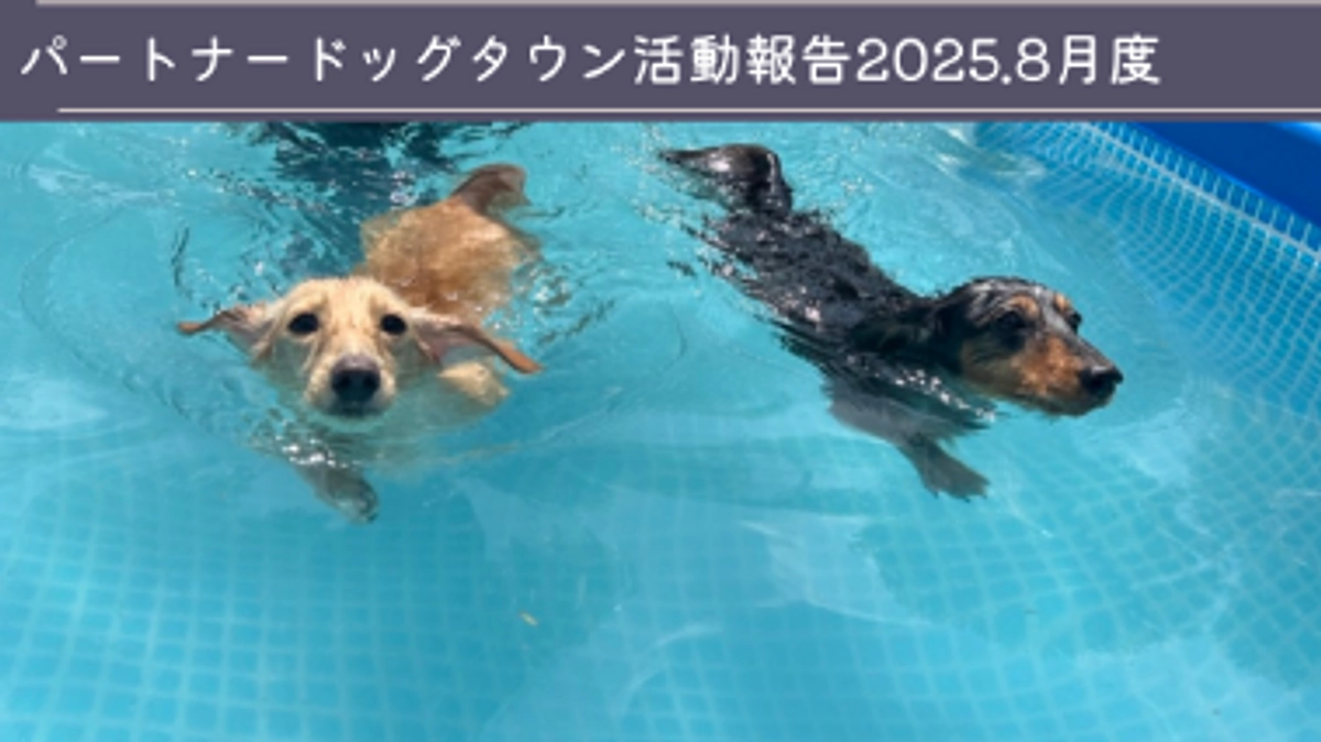 2025年８月度活動報告