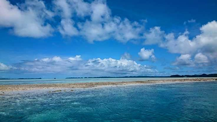 未来へパラオの綺麗な海をお届けするために！清掃活動を実施へ