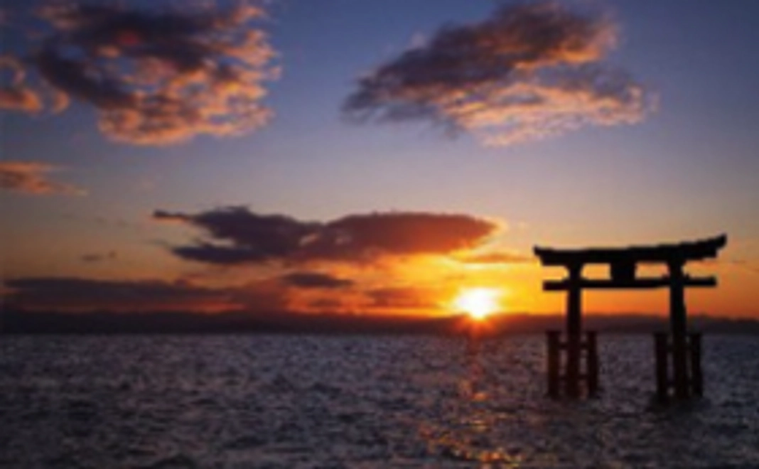 肌触りの良いハンカチと絵葉書をプレゼント