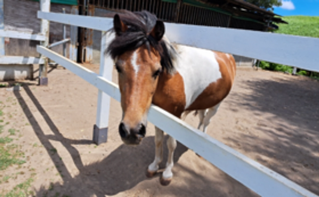 【笑顔と感動と驚きを】サンクスムービー/ニュースレター