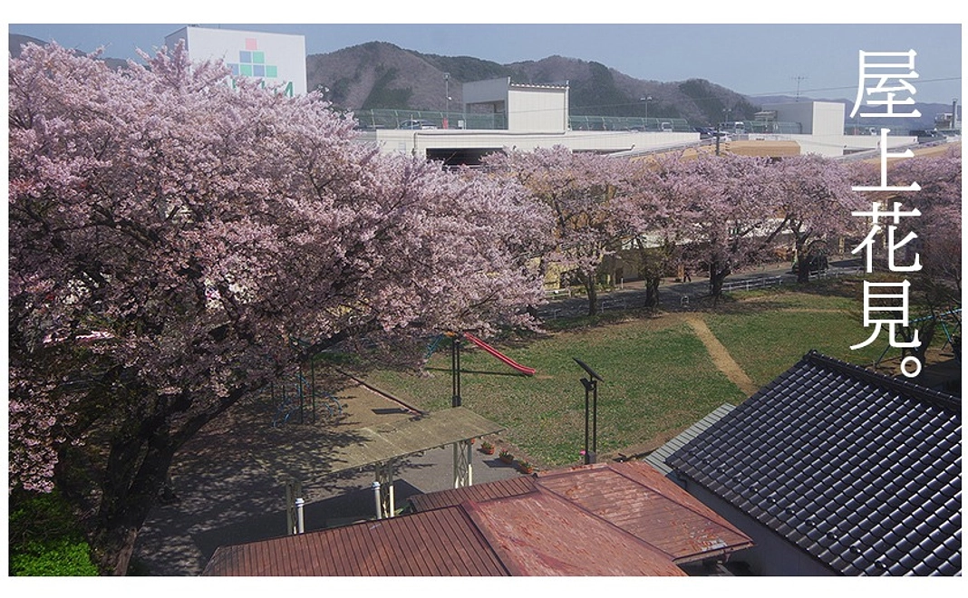 [体験型]　来年の春、桜満開の屋上貸切権　1組4人まで