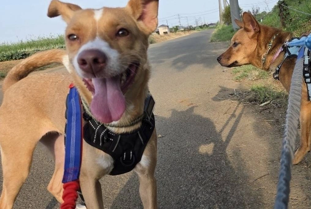 チラシ配布協力店のみなさま④あのお店もレーベンの応援団