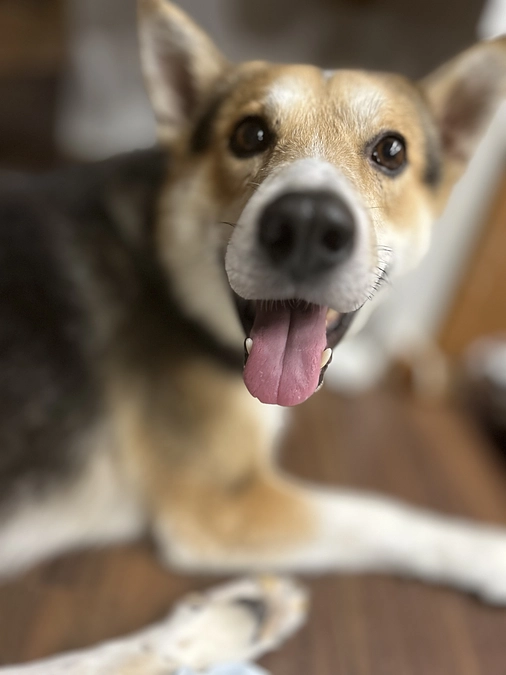 改めて、皆様にお礼と今後のご報告を