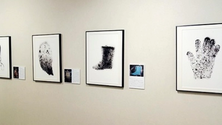 「放射線像」写真展の首都圏リレー開催を実現したい!