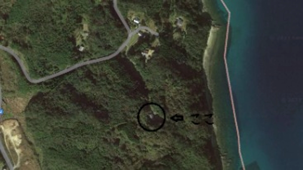 猫と私たちの、今後の生活についてご報告