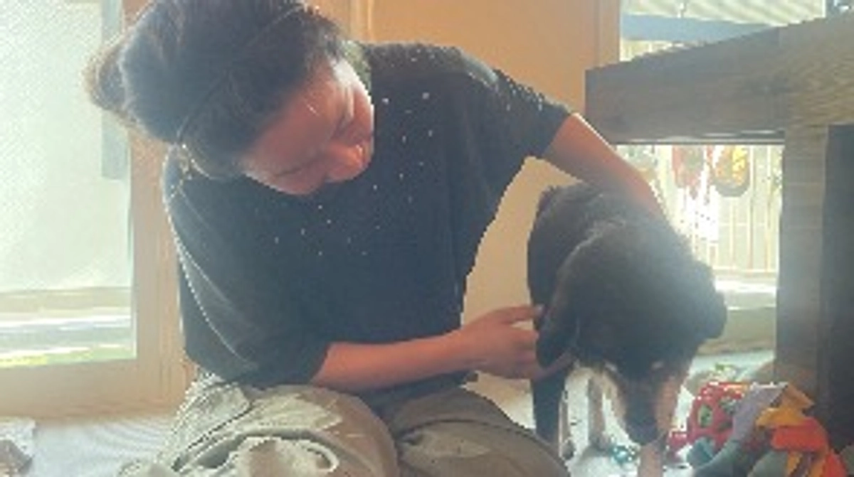 後悔しないはきっとない！だから老犬ホームをつくる。を応援する。