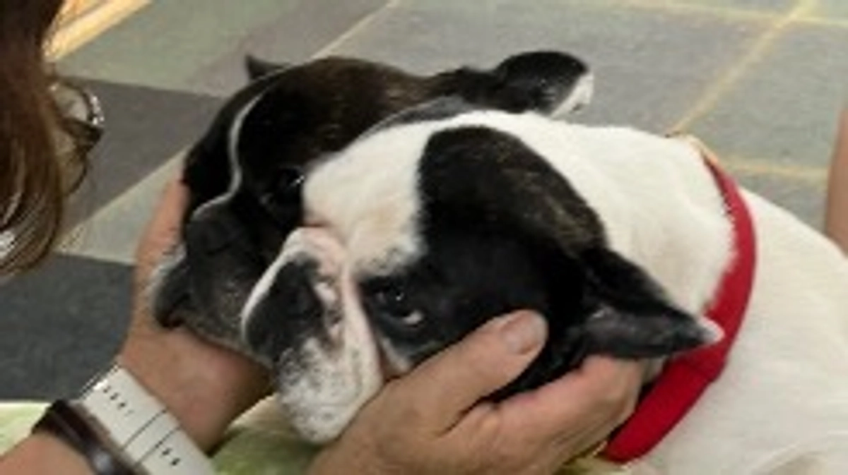 目標達成しましたが残り5日間更に頑張ります💪