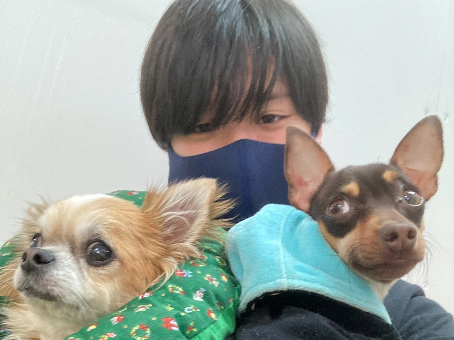 【700万まであと30万！】DOG DUCAのボランティアさんからの生の声をご紹介します！