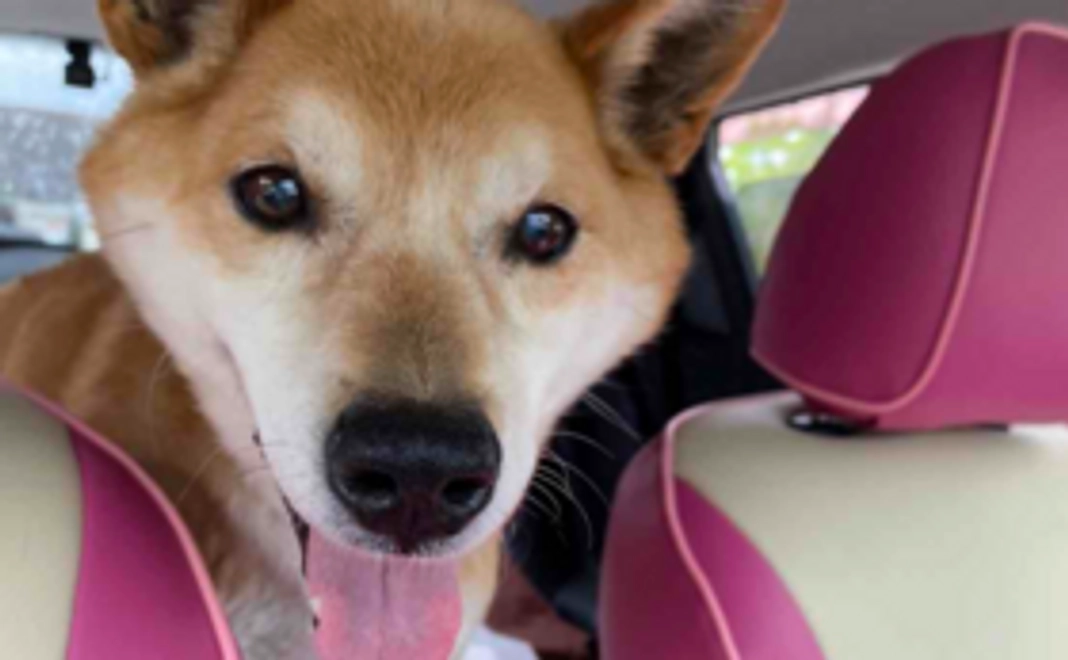 毎月応援 1.000円 コース