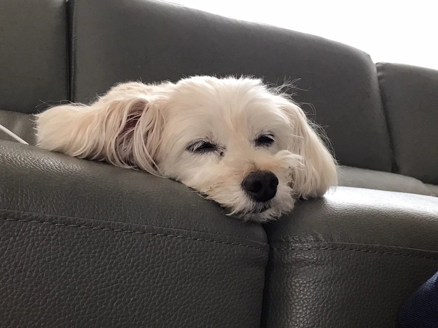 おもちゃはしばらく我慢だね…😭