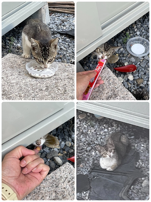 今日からプロジェクト開始！！