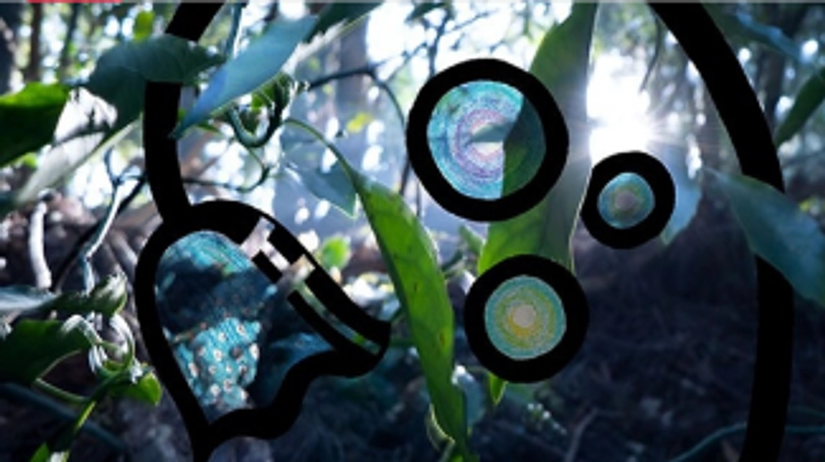 ご支援をありがとうございました