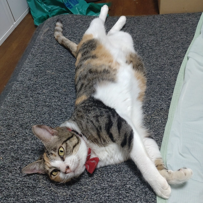 のびのび　すずちゃん💕