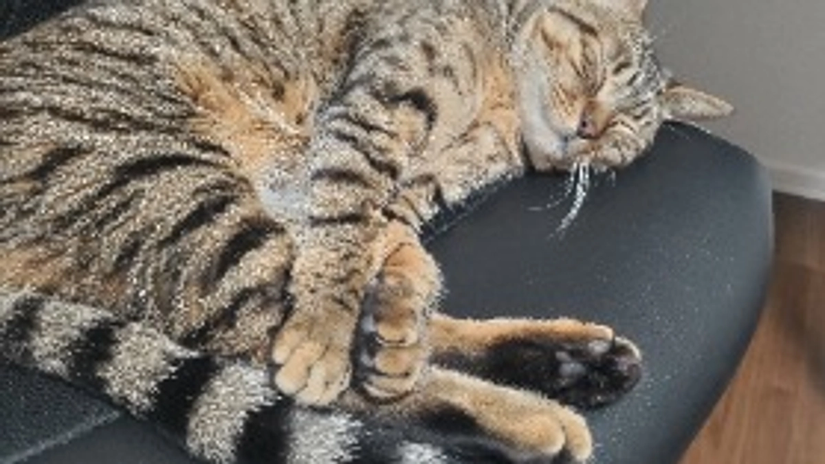 達成率40％超えました！