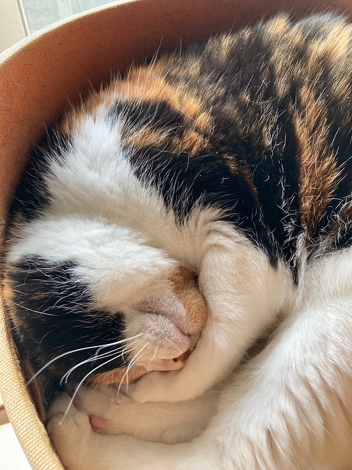 【ご報告】ご支援いただいた皆様へのリターンの送付が完了しました。