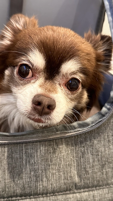 術後2ヶ月検診に行ってきました！！