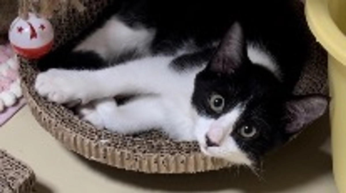 10月7日 〜 治療経過報告① 〜