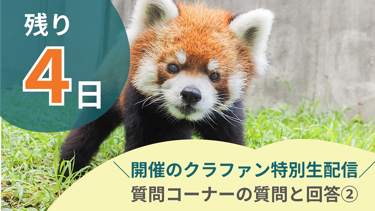 残り４日！7/21開催のクラファン特別生配信の質疑応答を文章で紹介②