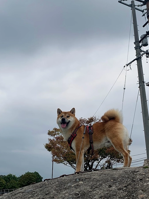 スタートして６日目！！