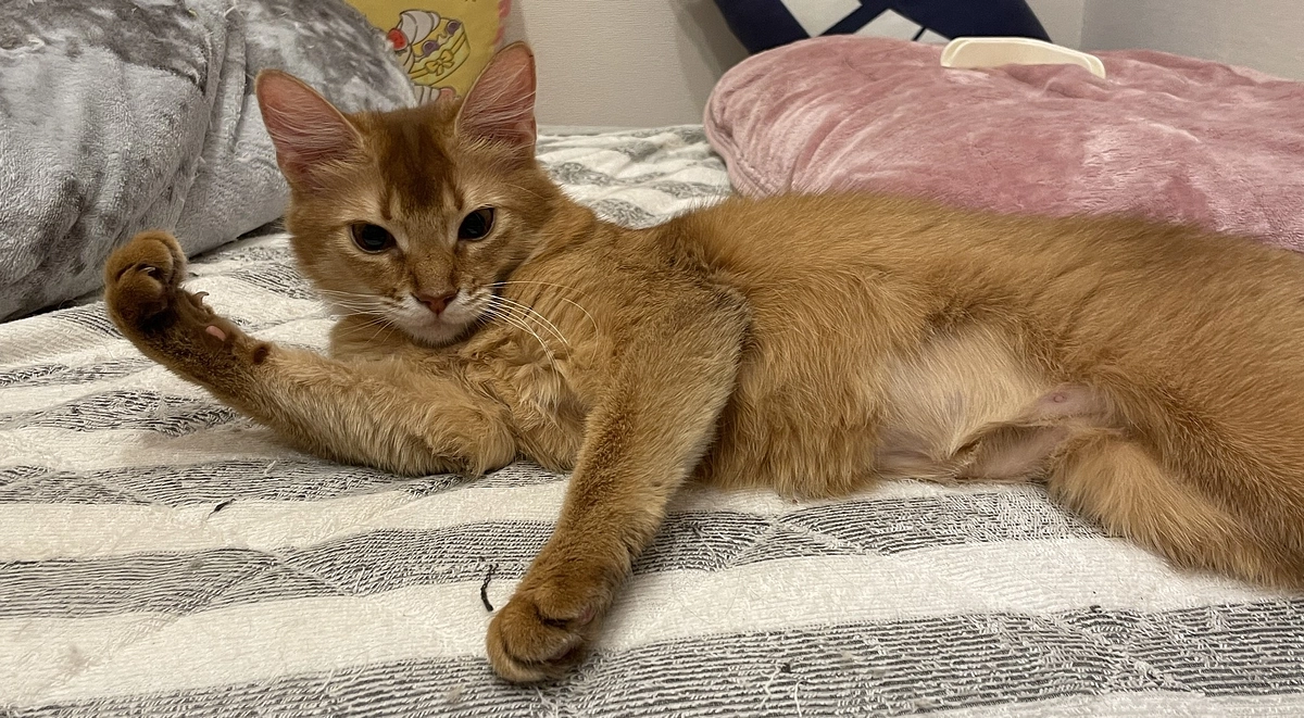 投薬84日目を迎え、病院に行って参りました