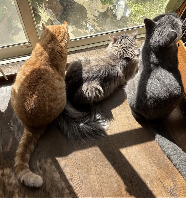 寛解しました！