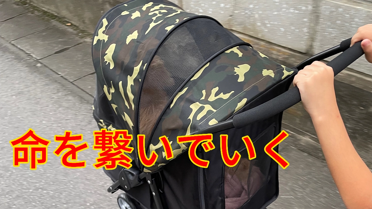 将来的にみんなが集まれる憩いの場へ