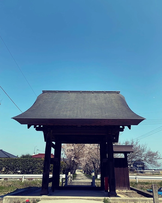 専称寺の文化財③総門（国指定重要文化財）