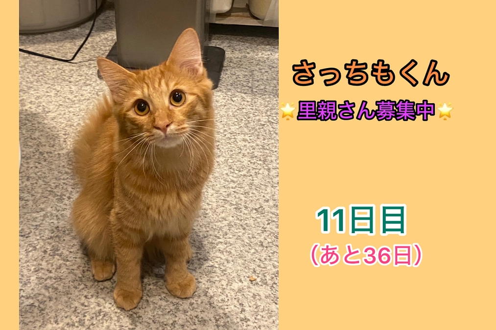 200万円が近づいてきました‼️ （2月23日　　11日目）