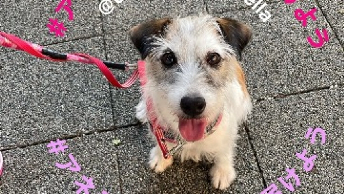 【ラスト3時間】あと5万円です！素敵な投稿を紹介✨