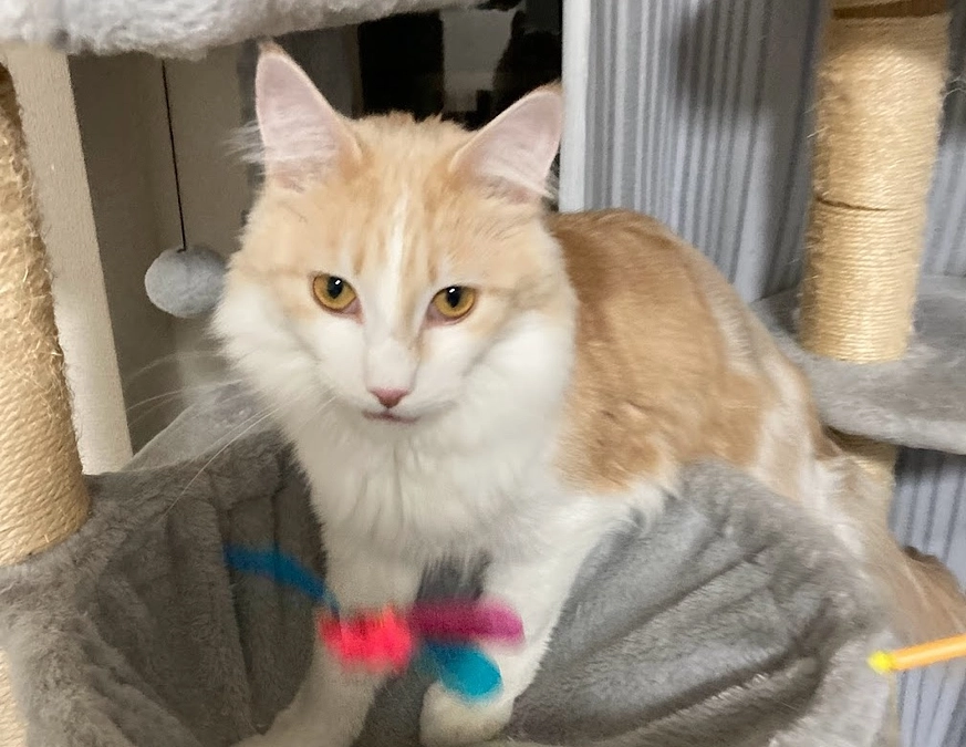 10/24ルイの様子