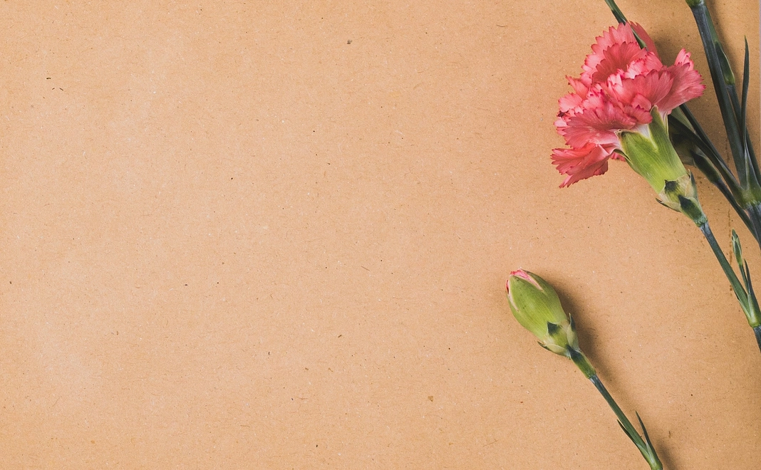 シンプル応援プラン【5,000円】